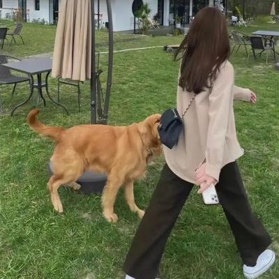 烈火男儿之隐患